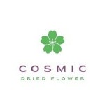 cosmicdried flower Profile Picture