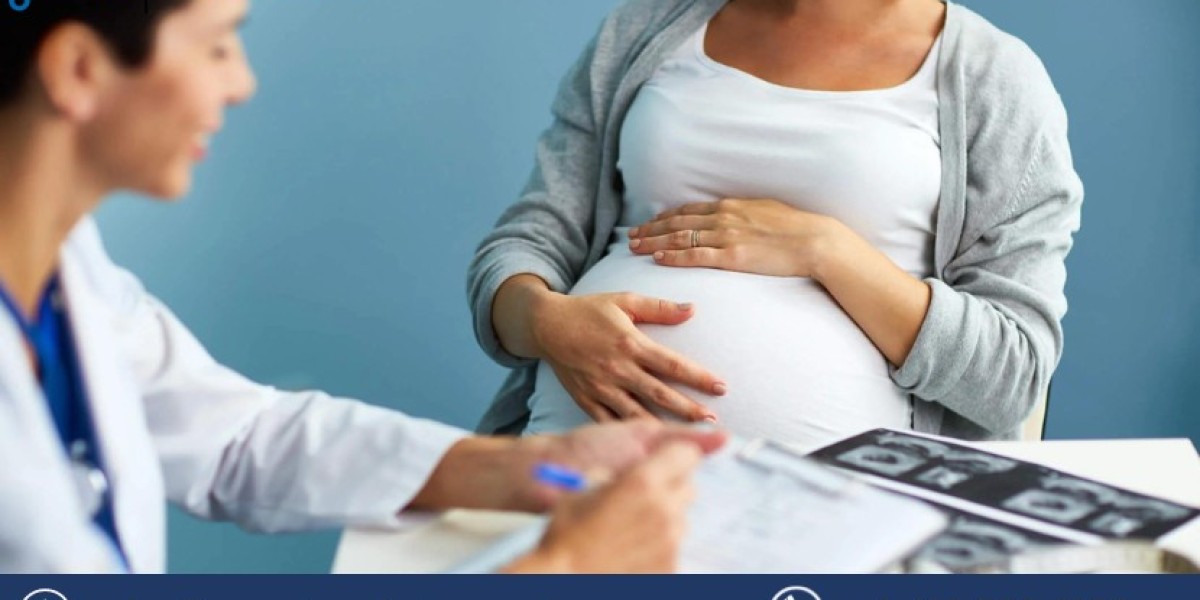 Surrogacy Market Size, Share, Growth, Report 2024-2032