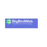Bigbirdweb Bigbirdweb Profile Picture